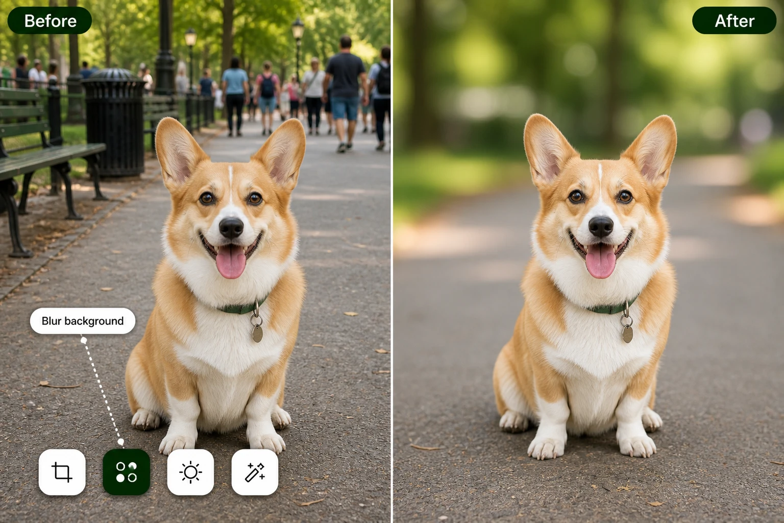 A row of one click editing presets for background, object, and frame changes in EditImage